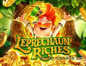 Wesele Leprechaun Mieszkanka